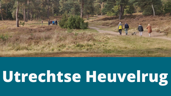 heuvelrug